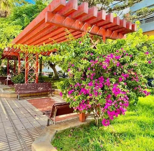 El Anclaje De Galletas Arona (Tenerife)