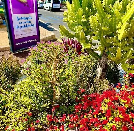 El Anclaje De Galletas Arona (Tenerife)