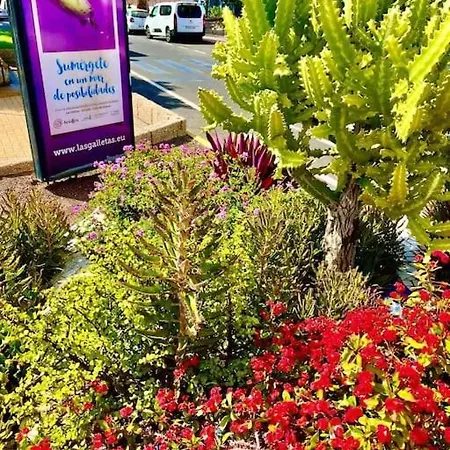 El Anclaje De Galletas Arona (Tenerife)